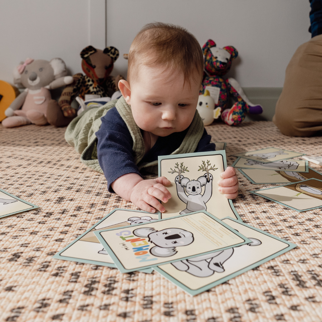 Koala Yogi Card Set